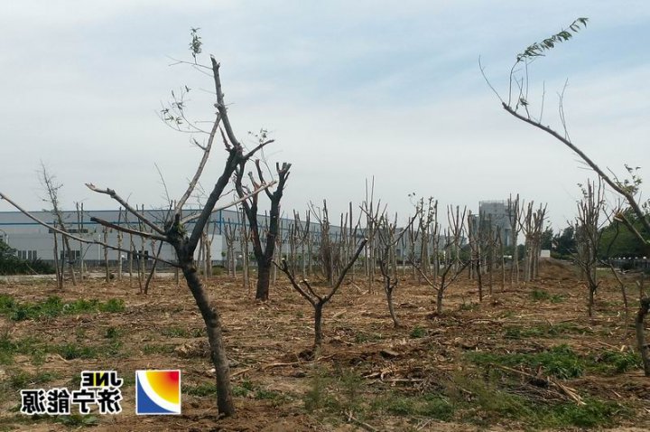济矿家园着手筹备小区绿化