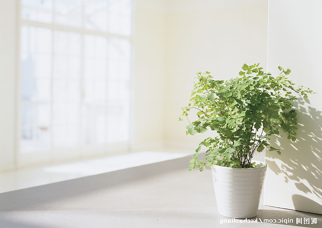 用心工作&nbsp;用情工作（物资公司&nbsp;陆宜东）