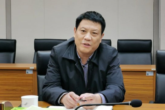 张广宇听取森达美三港口提升改造方案汇报