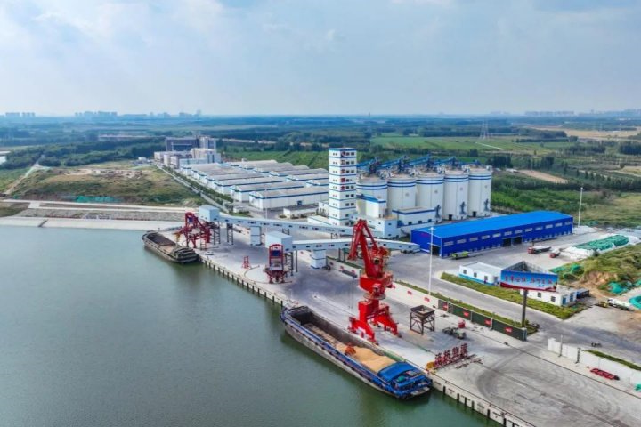 粮食跑在“黄金水道”上！江北粮食物流园多举措为“北粮南运”保驾护航